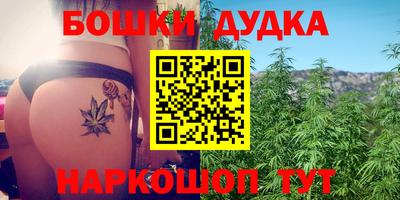 мдпв Обь